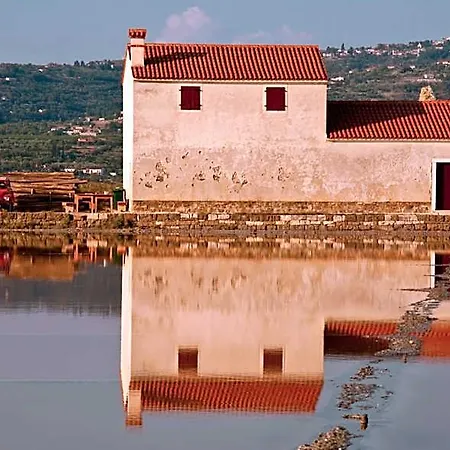 Hostel Piran بيت شباب *