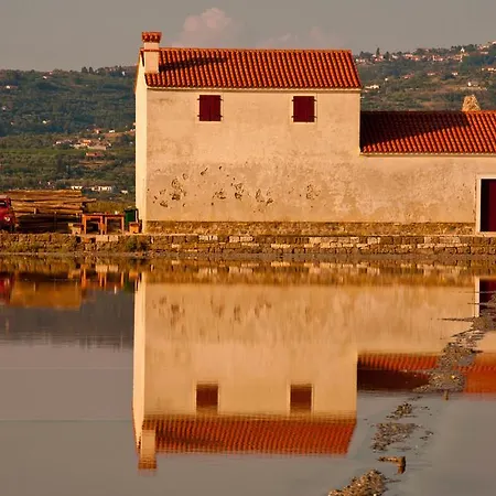 Hostel Piran Ostello